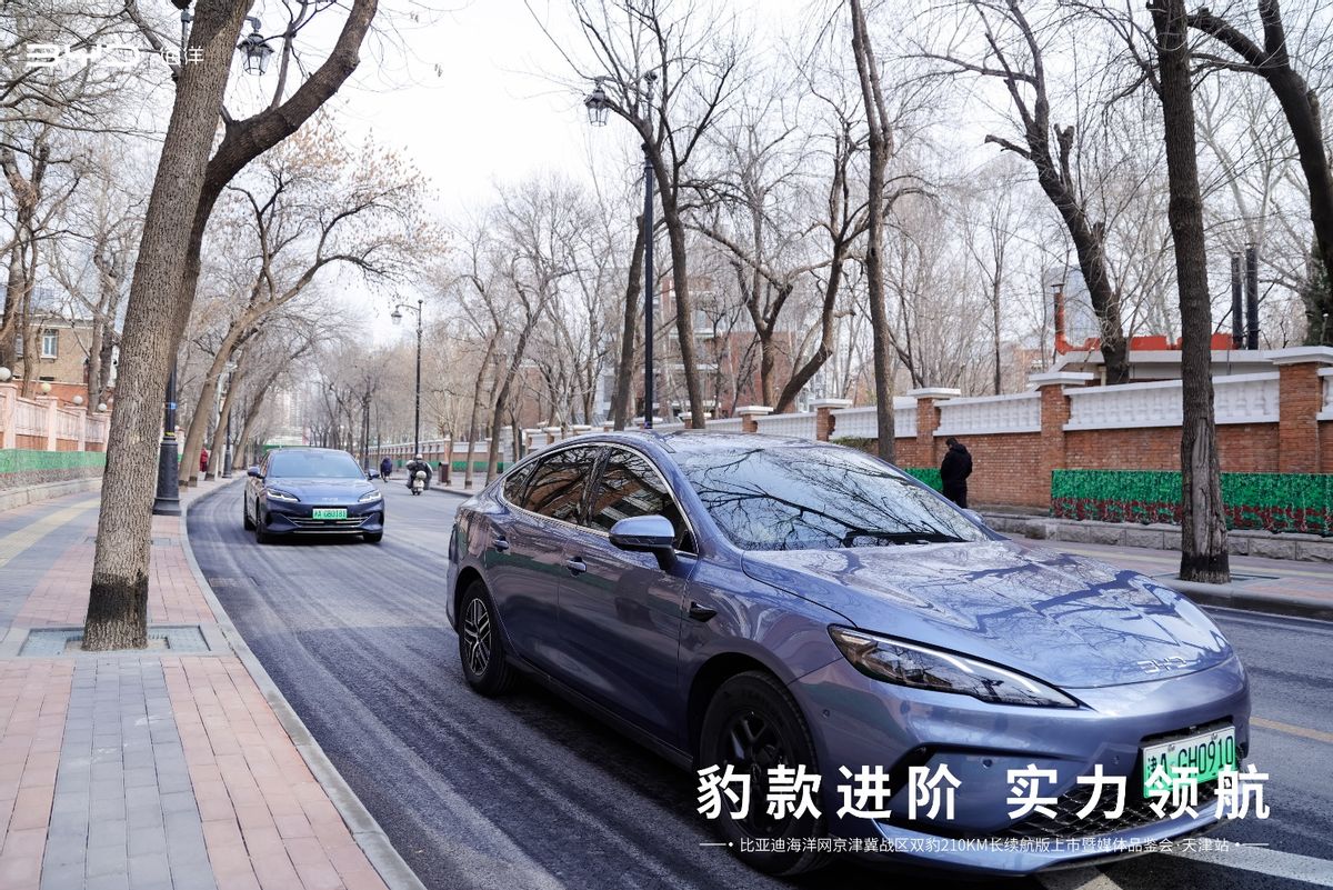 “双豹”齐发，纯电210km续航重塑插混新标杆